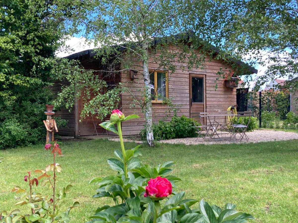 Chalet Proche Orleans Centre Saint-Jean-le-Blanc Εξωτερικό φωτογραφία